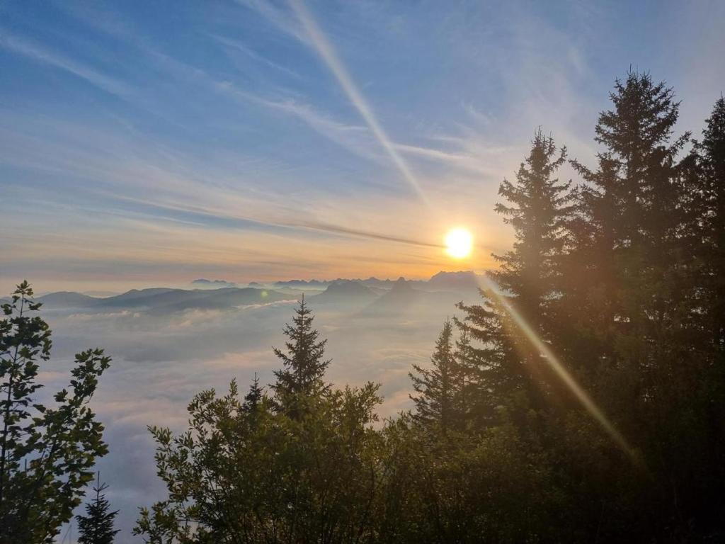 Rigi-Scheidegg Ferienwohnungen West XL في فيتزناو: اطلالة على شروق الشمس فوق جبل به اشجار