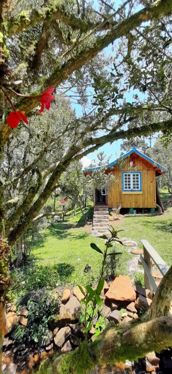 una cabaña de madera en un campo con un árbol en Chalé Refúgio das Águas, en Urupema