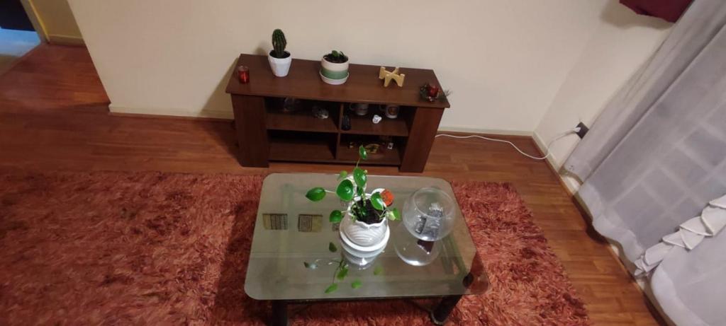 a coffee table with potted plants on it in a living room at Departamento chillan viejo in Chillán