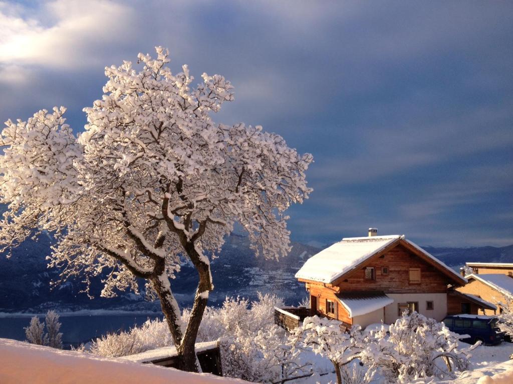 Chalet bioclimatique avec vue sur le lac de Serre Ponçon في Saint-Apollinaire: شجرة مغطاة بالثلج بجوار منزل
