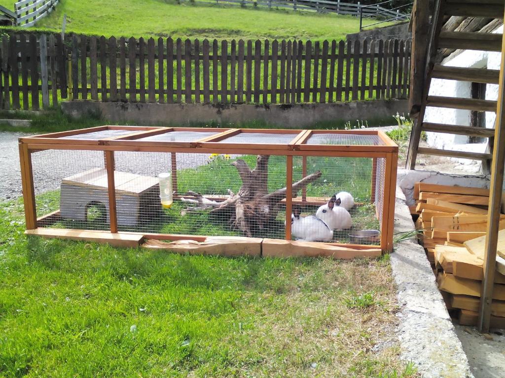 Zahrada ubytování Haus Stabentheiner