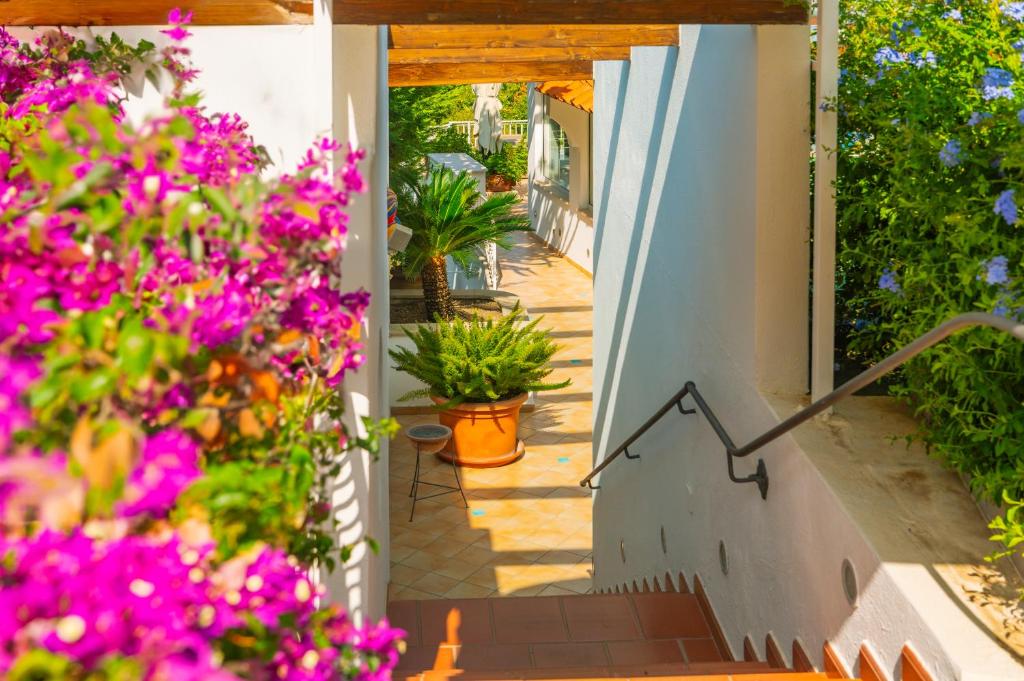Zahrada ubytování Poggio Aragosta Hotel & Spa