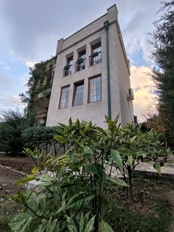 Zahrada ubytování guest house Calma