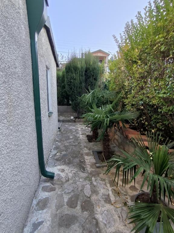 Zahrada ubytování guest house Calma