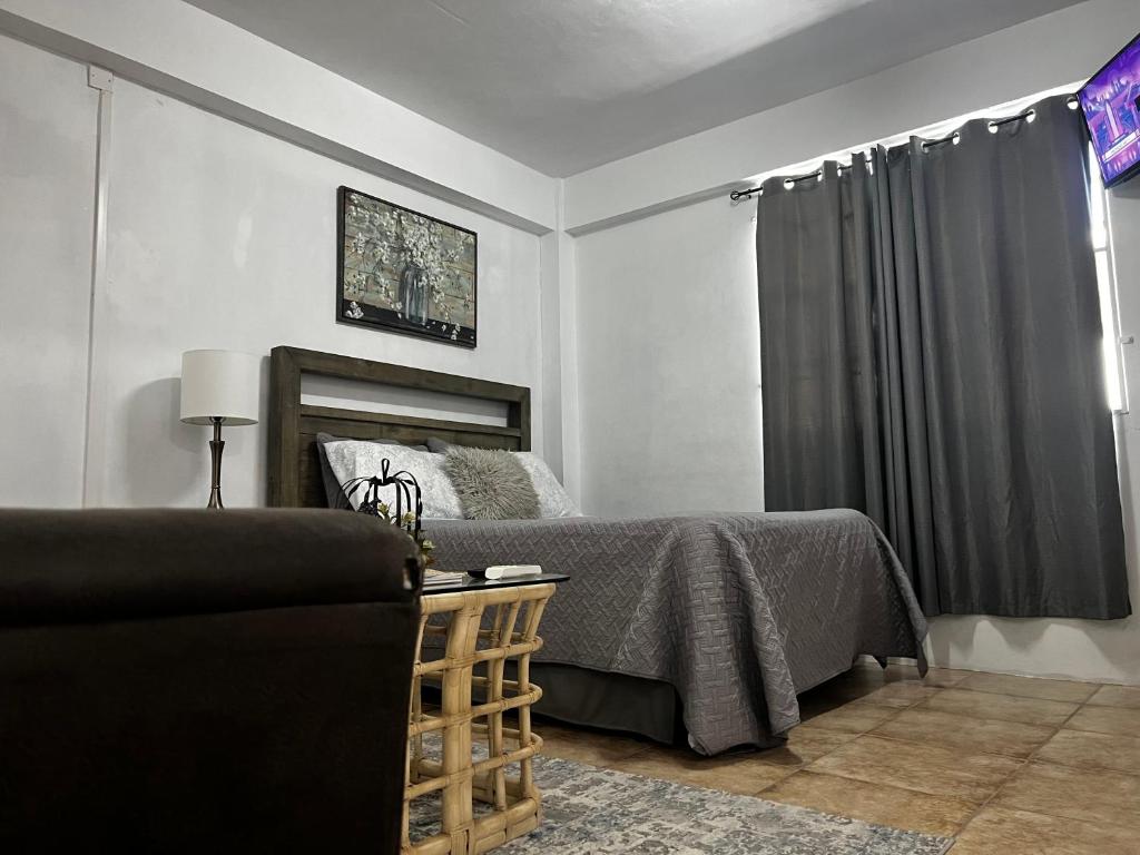 羅索的住宿－Roseau City Hub Apartment，一间卧室配有一张床、一张沙发和一个窗口