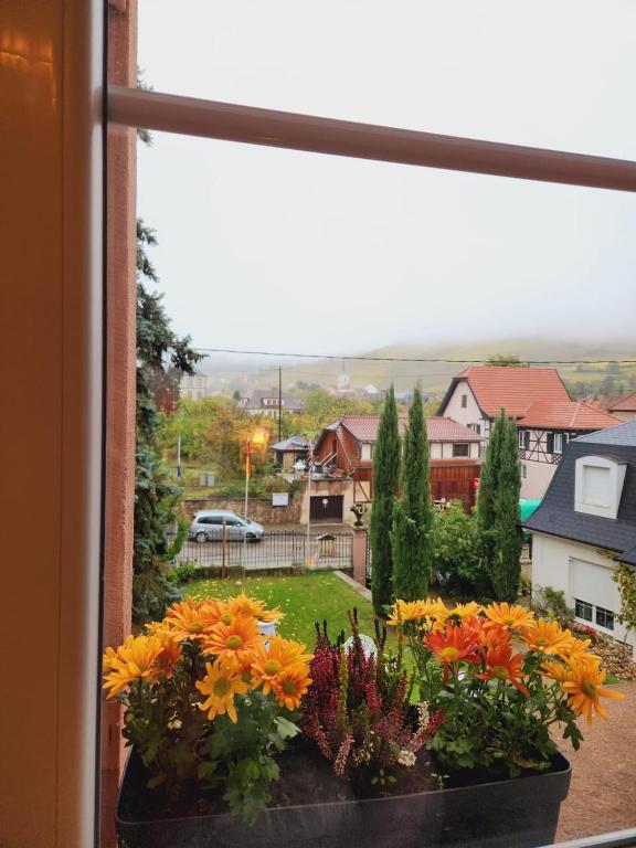 Zahrada ubytování Hôtel Le Manoir