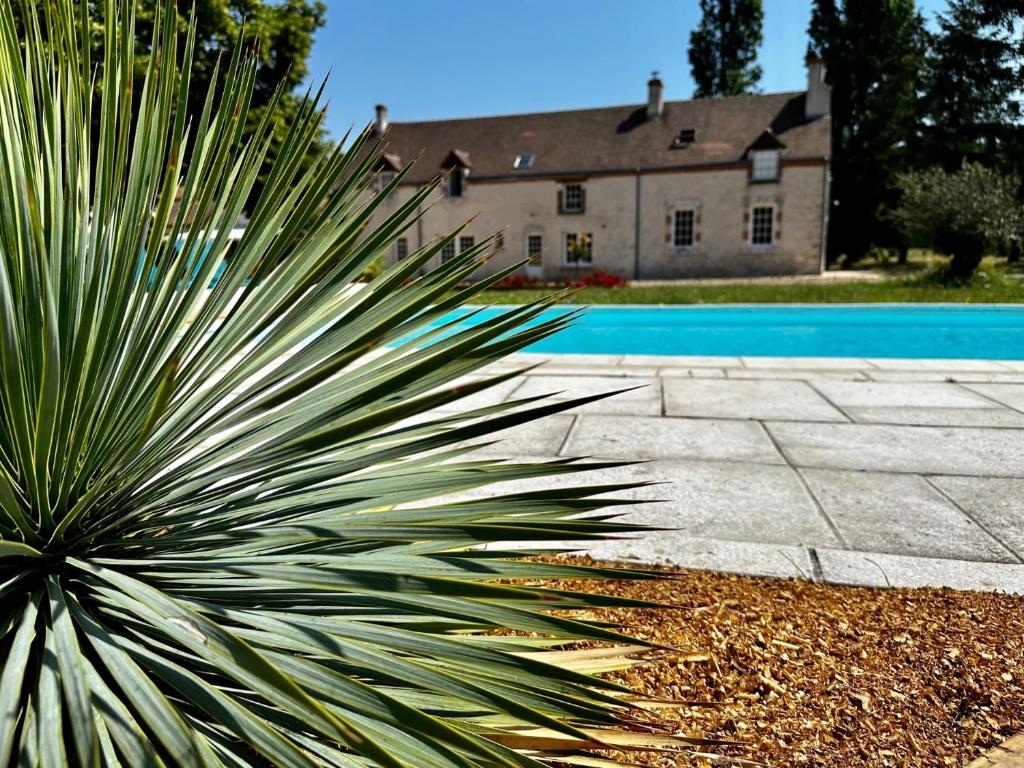 a palm tree in front of a house with a swimming pool at Domaine de Couilleuse in Saint Laurent Nouan