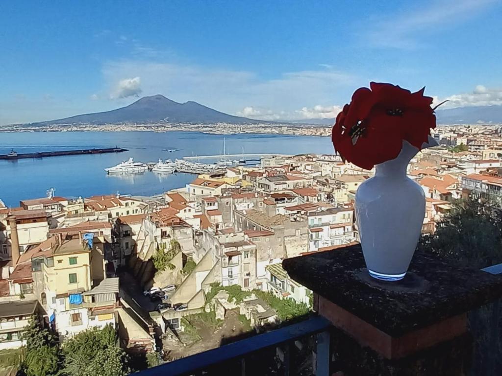 un vaso con un fiore seduto su un cornicione di Sunset Shores Oasis - Gulfview Haven Rooms with a View, strategic for Pompeii, Amalfi, Capri, and on the Road to Sorrento- progetto sociale Artigiani della preziosità a Castellammare di Stabia