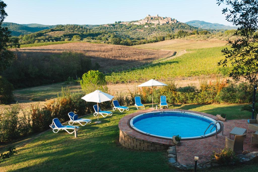 una piscina con sillas y sombrillas en un patio en Agriturismo Podere Ristella - Wine&Food, en Montemassi
