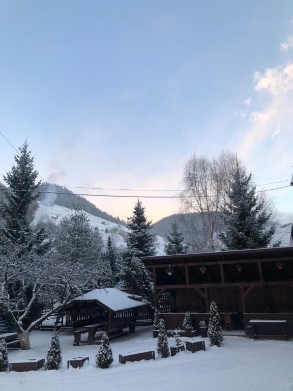 Galeriebild der Unterkunft Pensiunea Orzan in Moieciu de Sus