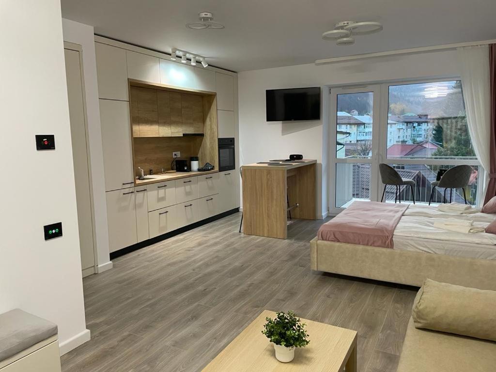 AVA Studio Sinaia - Resim 34