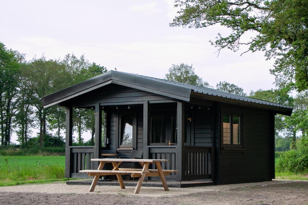 a black shed with a picnic table in front of it at Holiday Hut in Bornerbroek