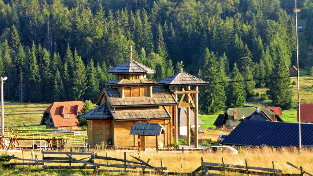 un gran edificio de madera en medio de un campo en Vila Planinski san 1, en Zaovine