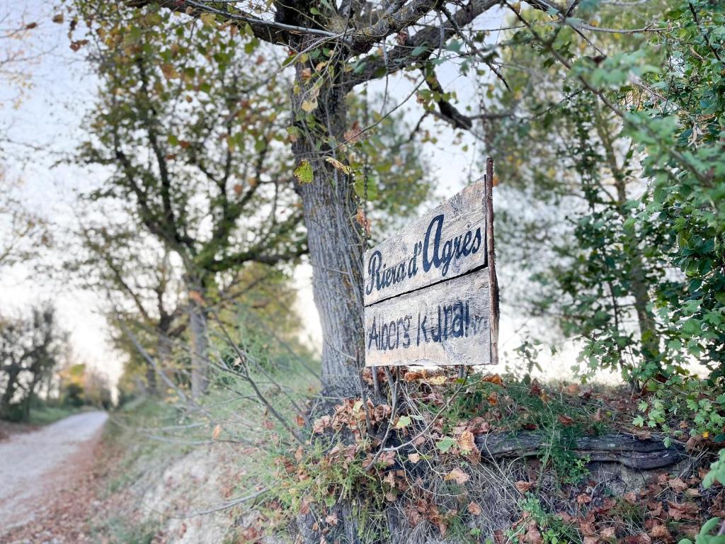 Príroda v okolí hostela