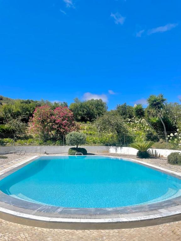 a large blue swimming pool with trees in the background at LouriVillage in Lourinhã