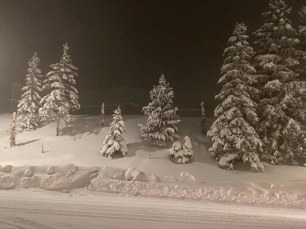 Obiekt Antarès Location Avoriaz zimą