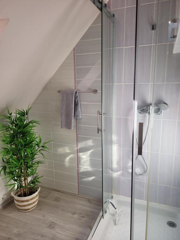 a bathroom with a shower and a potted plant at Gîte Évasion idyllique à l&#39;étage près zoo-chateaux in Faverolles-sur-Cher