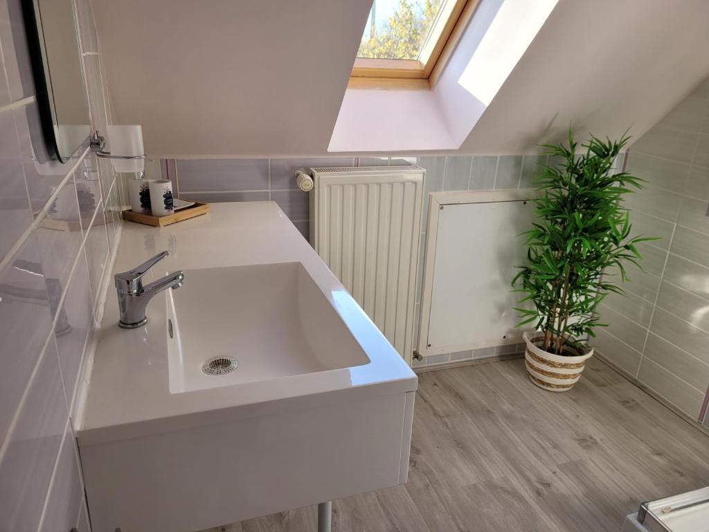 a bathroom with a white sink and a plant at Gîte Évasion idyllique à l&#39;étage près zoo-chateaux in Faverolles-sur-Cher
