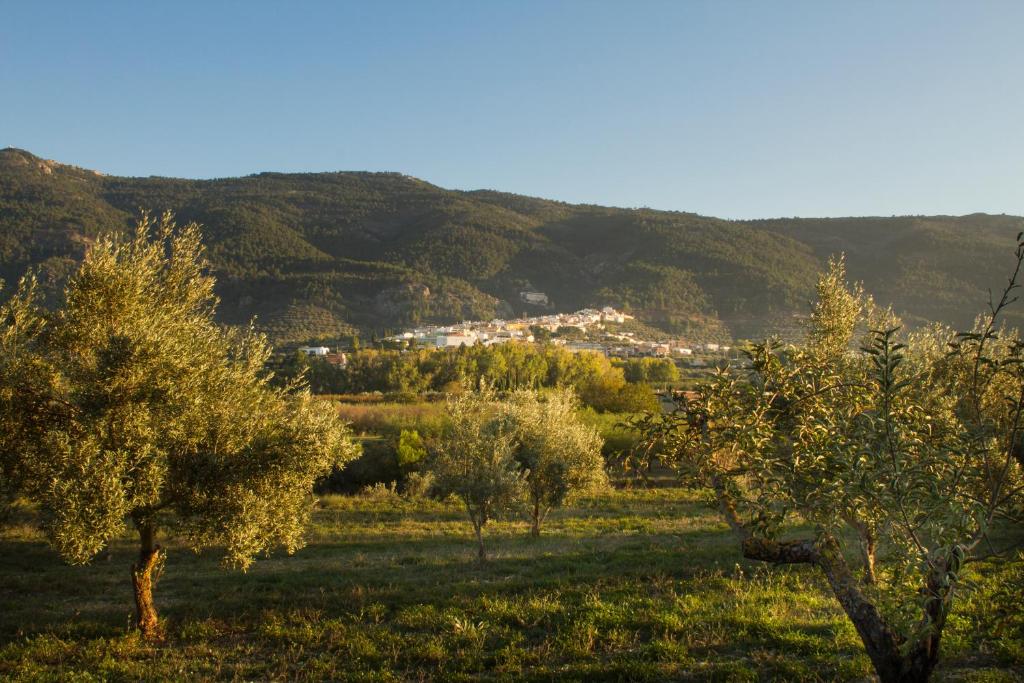 Príroda v okolí hostela
