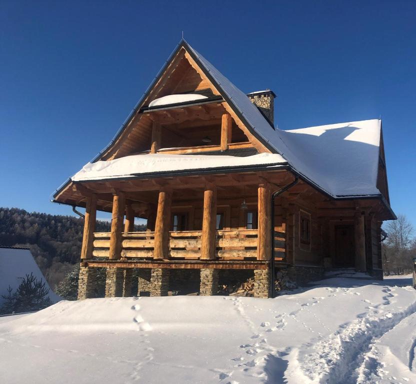 Wilk u Drzwi om vinteren