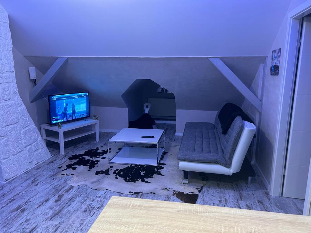 TV a/nebo společenská místnost v ubytování SUITE WILLA CHEZ WILLI