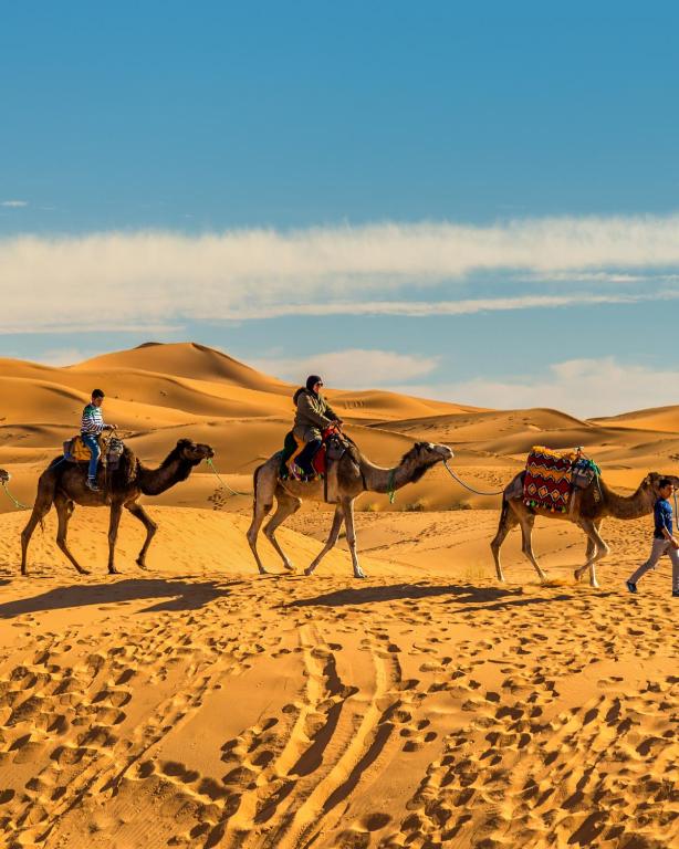 Hosté ubytování Desert Experience Glamping