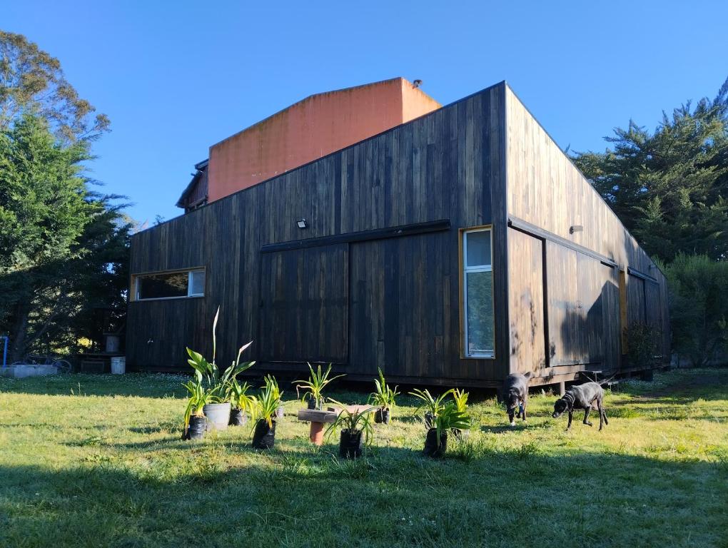 een houten huis in een veld met twee honden voor de deur bij Casa Almeria in Santa Clara del Mar