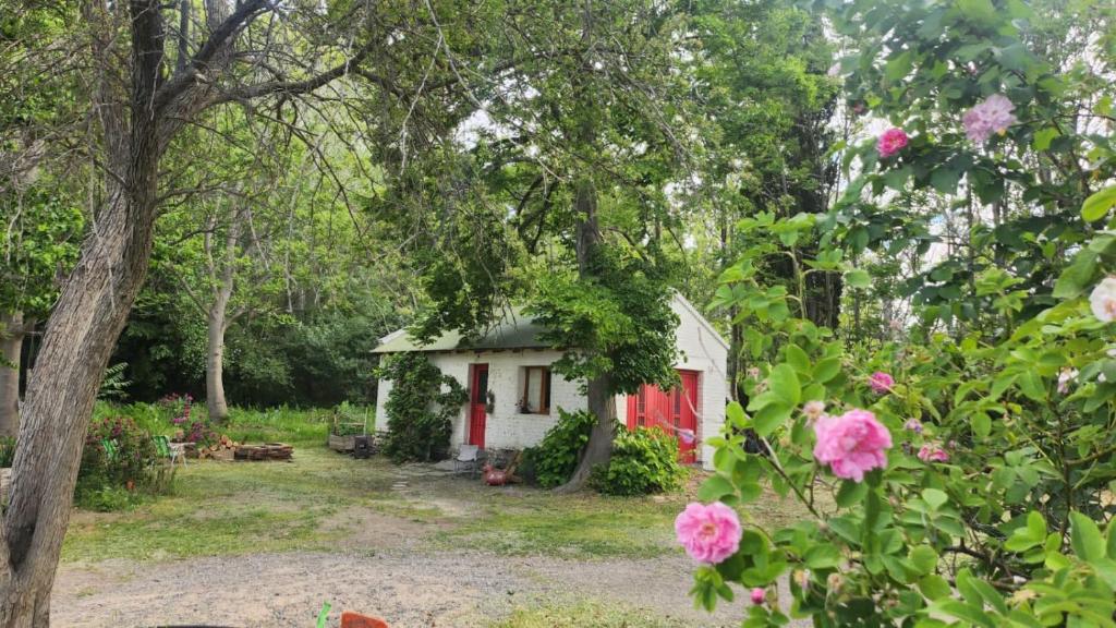 a small red and white cabin in the woods with pink flowers at Casa rural junto al Río Chubut (Ty'r Bont) Trelew in Trelew