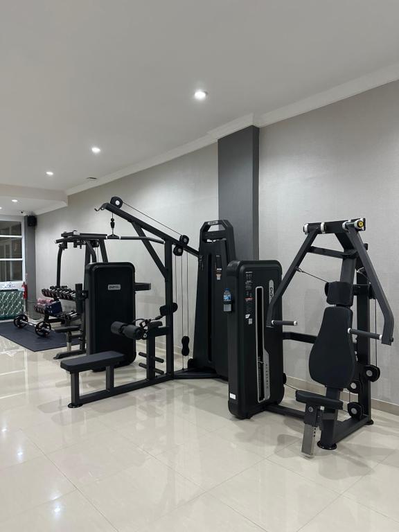 Fitness centrum a/nebo fitness zařízení v ubytování Hotel Arisu