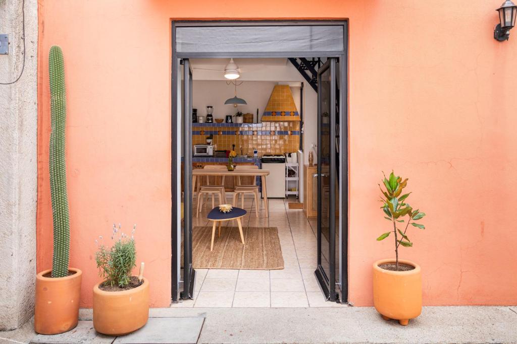une porte ouverte sur une cuisine avec des plantes en pot dans l'établissement Siento Oaxaca, à Oaxaca