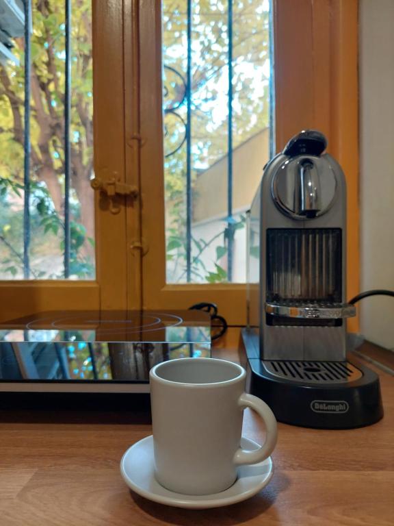 N1 Casa de Madrid - greenpeace line - Resim 31