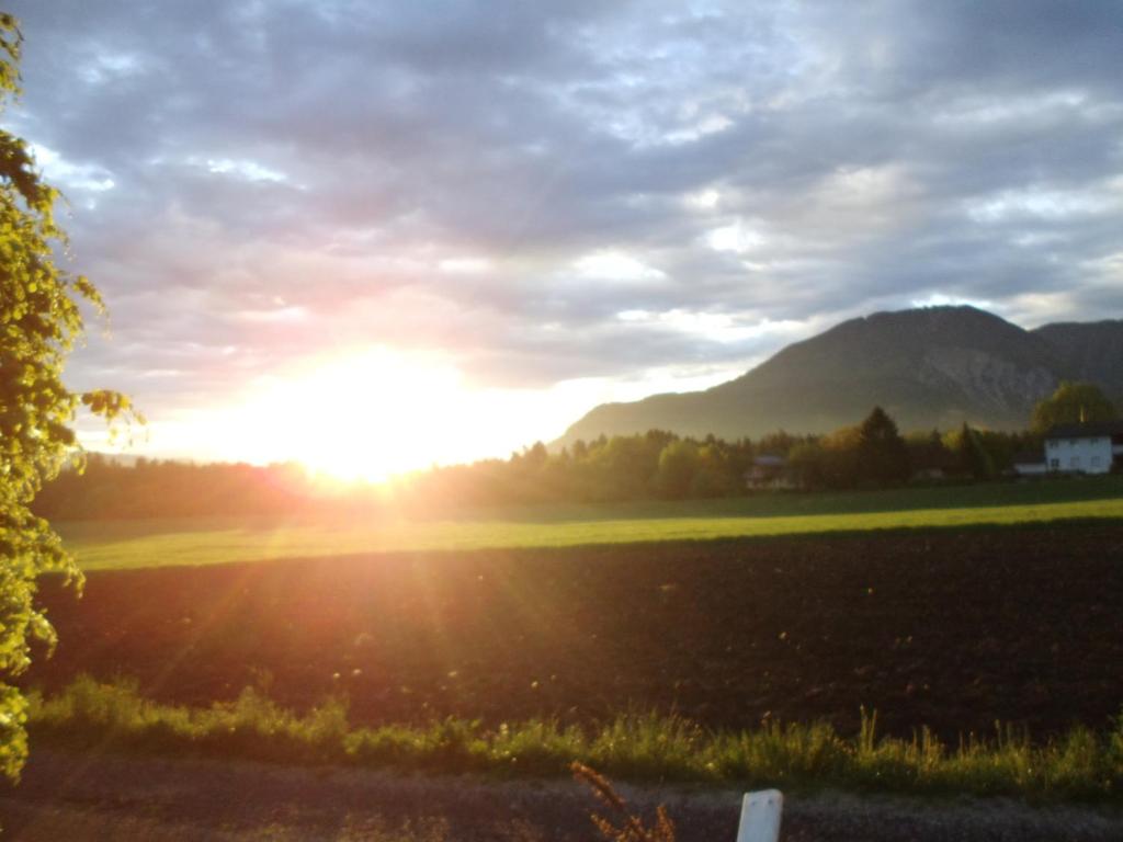 un champ avec le coucher du soleil au loin dans l'établissement Ferienwohnung Mostecky, à Ferlach