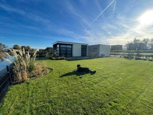 a dog laying on the grass in front of a house at Marina Strandbad Chalet Aan het Strand mit Zaun Haus Nr 133 in Olburgen