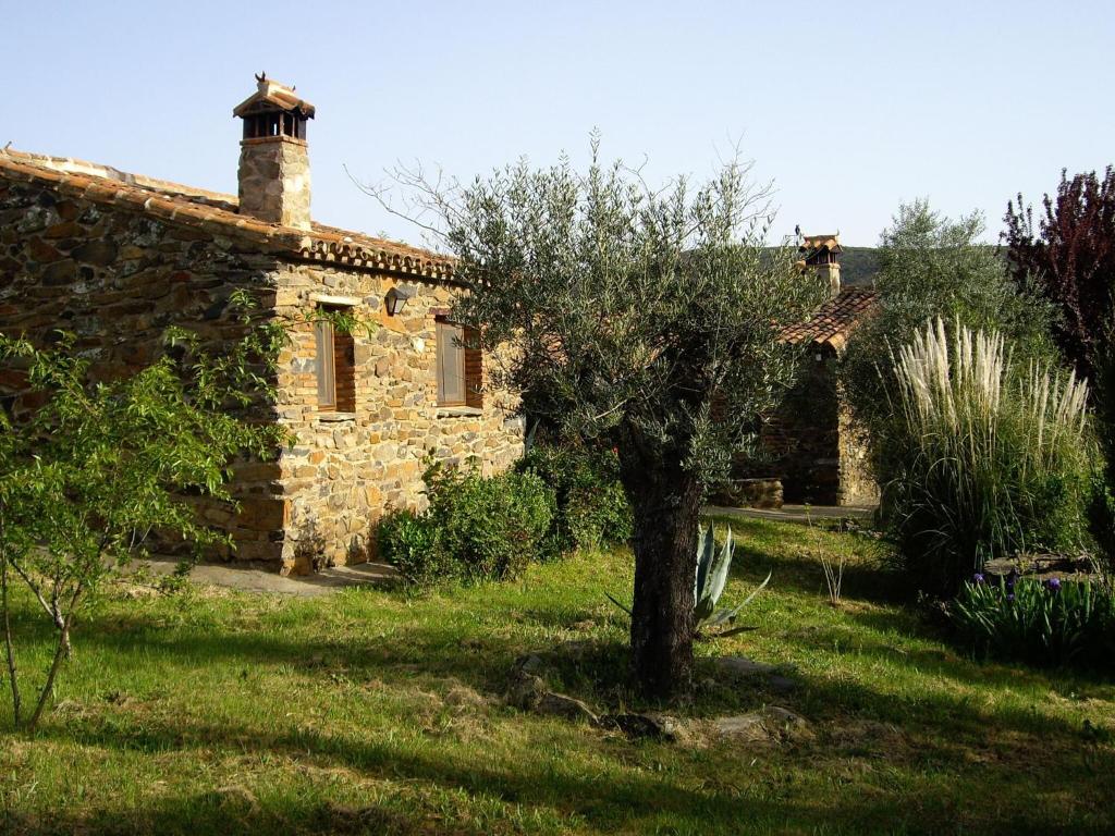 una vieja casa de piedra con un árbol en el patio en Modern Farmhouse in Valencia de Alc ntara with Pool, en La Borrega