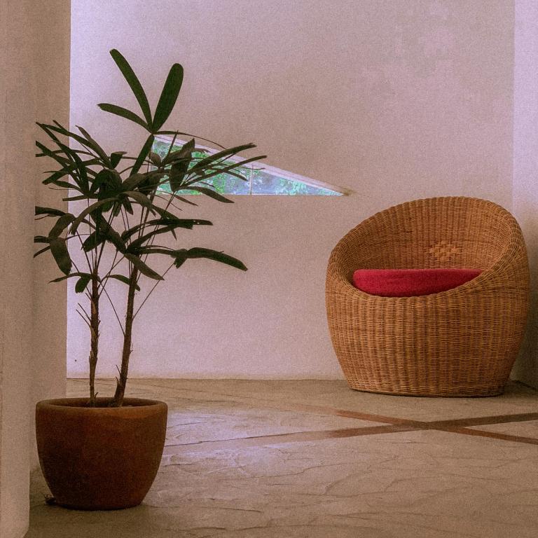 Fotografie z fotogalerie ubytování El Nido Moringa Resort v destinaci El Nido
