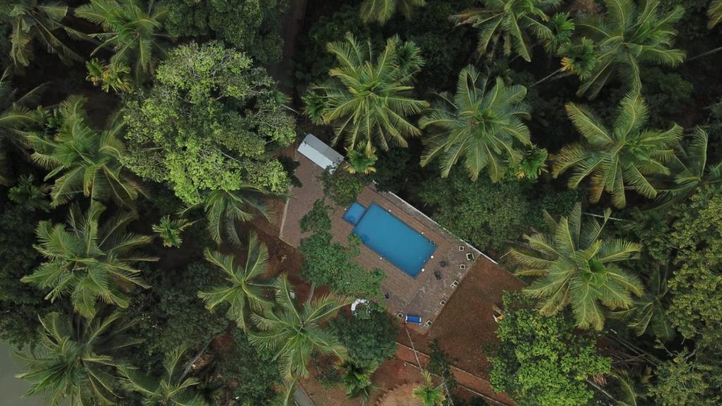 una vista aérea de una piscina en un bosque con palmeras en Paddyfield Inn, en Mananthavady