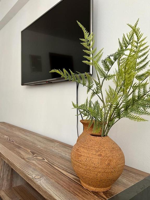 A television and/or entertainment centre at Apartamento en Centro - Vial