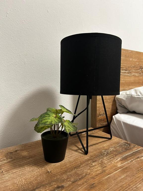 Kod Dide - entry with pin 0-24h - 15