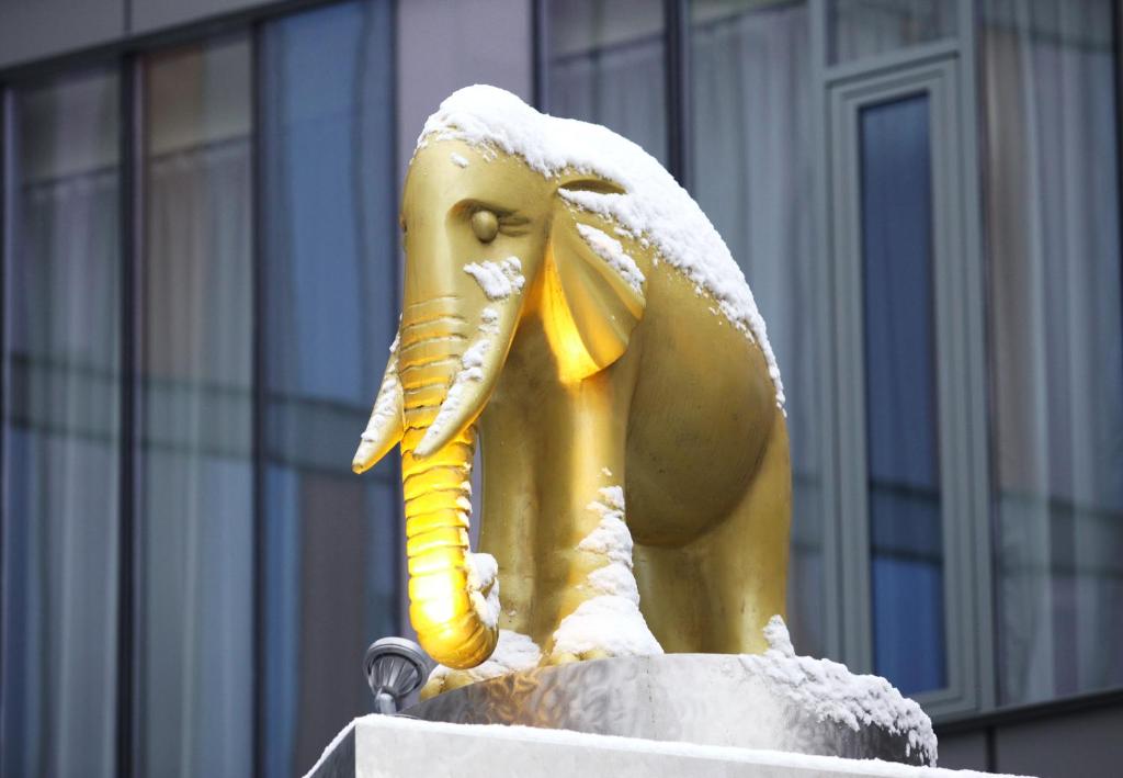 Fotografie z fotogalerie ubytování Rixwell Elefant Hotel v Rize