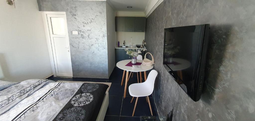 Cozzy apartment near the Aiport Podgorica - 1