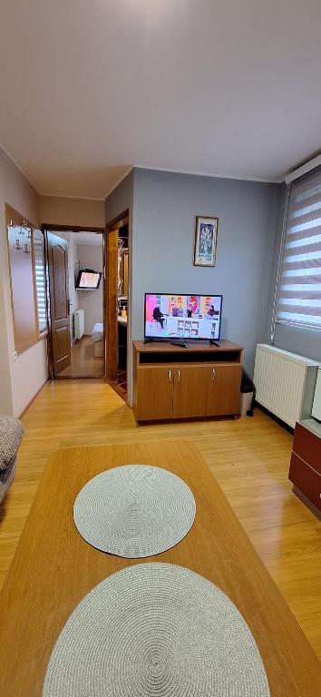 a large living room with a flat screen tv at Apartments Katarina in Zlatibor