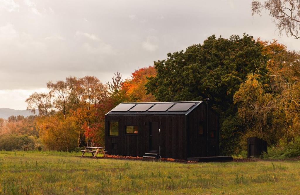 a black cabin in the middle of a field at Tawny in Kelsall