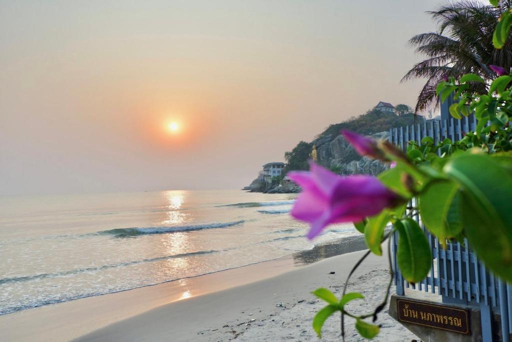 a view of the beach at sunset with a purple flower at Baan Napapan Beach Front, Hua Hin in Hua Hin