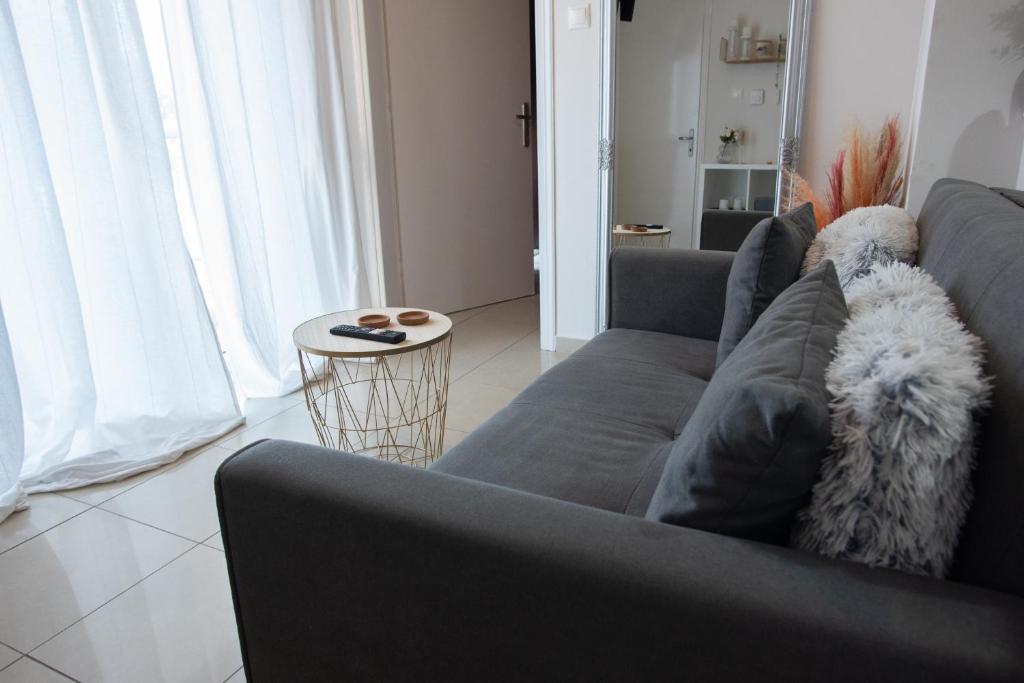 un perro sentado en un sofá en una sala de estar en Anavros Rooms 6, en Volos