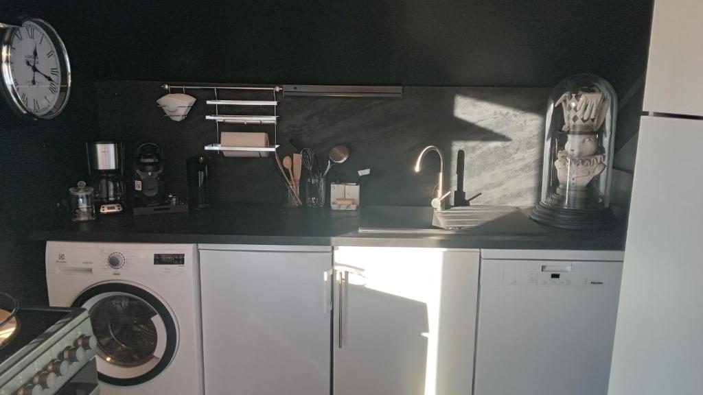 uma cozinha com um lavatório e uma máquina de lavar roupa em Au Duc de Sep em Sepmeries