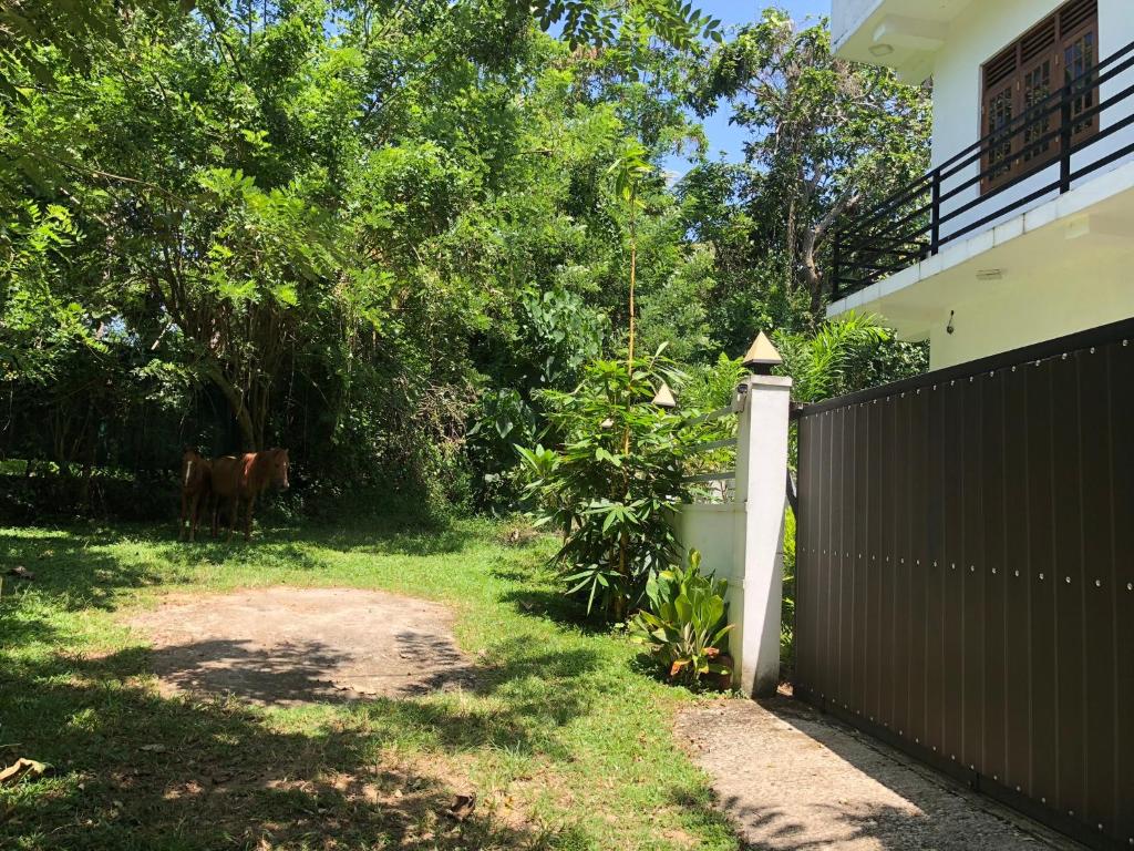 Gallery image of Lanka Villa Mirissa in Mirissa