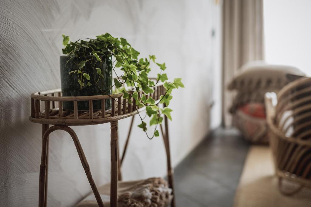 Fotografie z fotogalerie ubytování Pilguse Residency v destinaci Jõgela