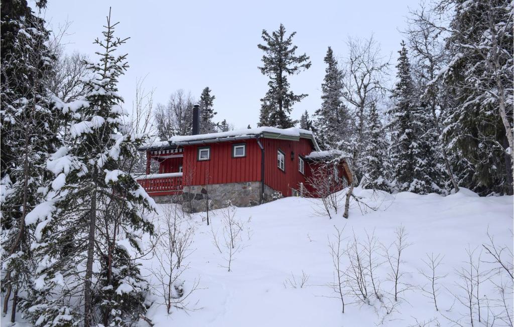 eine rote Hütte im Schnee in einem Wald in der Unterkunft Awesome Home In Eggedal With House A Mountain View in Eggedal