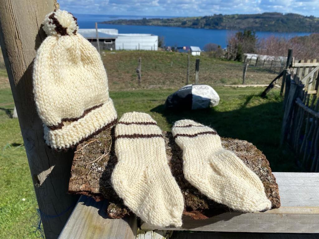 a pair of knitted mittens sitting on a wooden fence at Cabaña lancuyen in Futrono