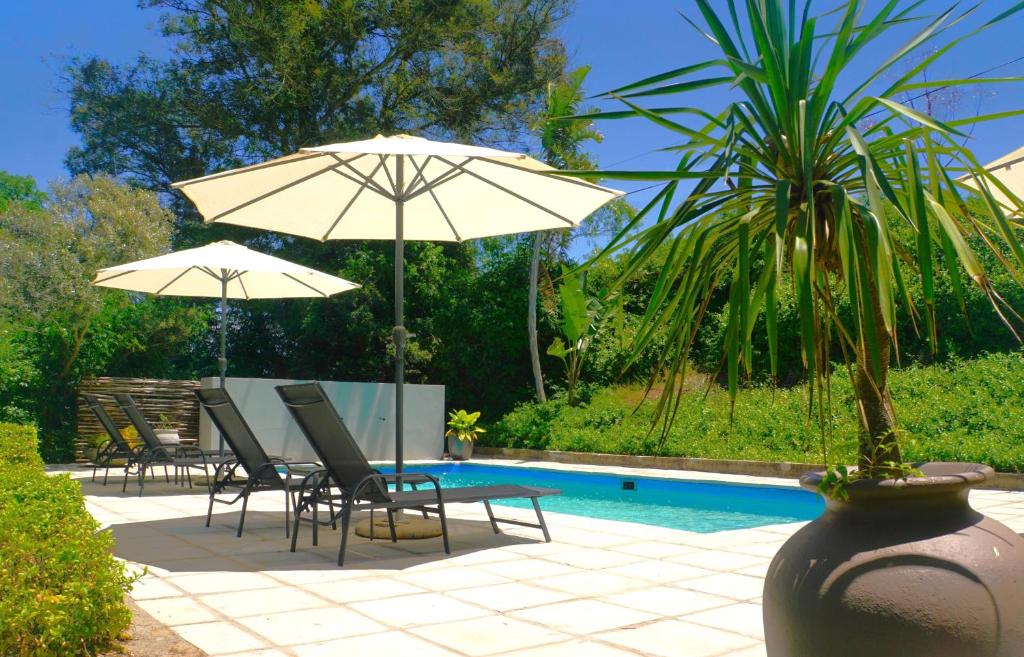 a patio with chairs and an umbrella and a pool at Swellendam Country Lodge - Guest House - B&B in Swellendam